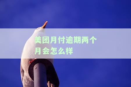 美团月付逾期两个月会怎么样