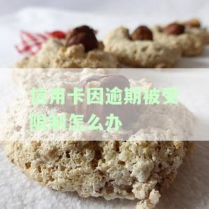 逾期后信用卡被冻结如何解开限制