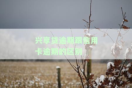兴享贷逾期一天还会有额度吗