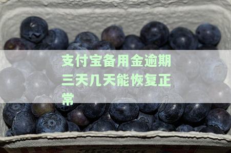 支付宝备用金逾期三天恢复使用需要多久？