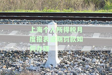 上海个人所得税扣缴申报表填报及下载指南