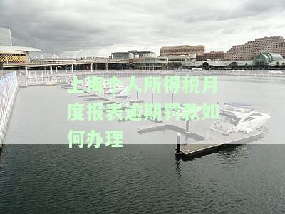 上海个人所得税申报操作流程及截止时间