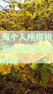 上海个人所得税月度报表逾期罚款如何办理