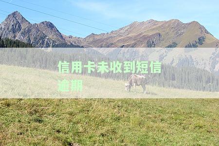 未收到信用卡被逾期如何处理