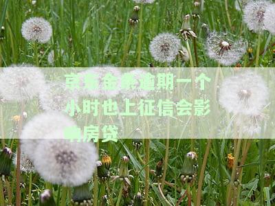 京东金条逾期一个小时也上征信会影响房贷吗？如何解决？