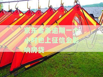 京东金条逾期一小时,个人征信会低吗及还能借款吗？