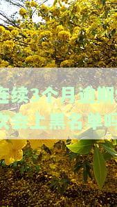 连续3个月逾期9次会上黑名单吗