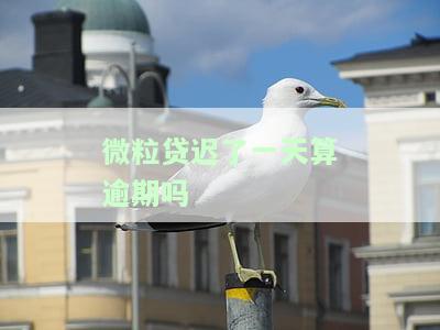 微粒贷迟了一天算逾期吗