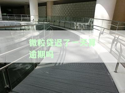 微粒贷要是一天还款会怎么样