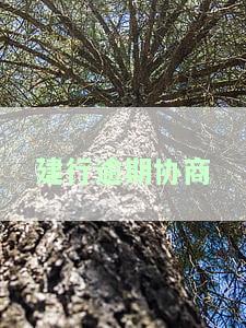 建行逾期协商后还款日可以期吗多久