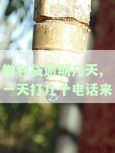 微利贷逾期四天，联系第三方解决困难
