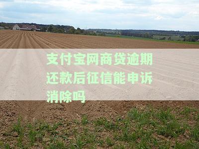 支付宝网商贷逾期还款之后还能借款吗，安全吗？