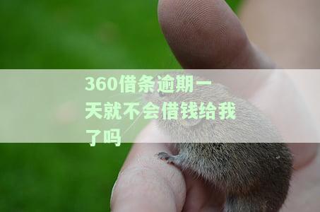 逾期一天后果及应对方法