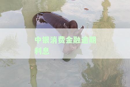 中银消费金融逾期利息和滞纳金很高