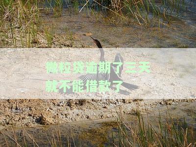 微粒贷逾期4天暂时无法借款，如何解决？