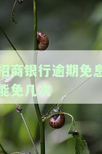 招商银行逾期免息能免几次