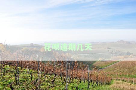花呗逾期几天上征信吗花呗逾期有什么后果