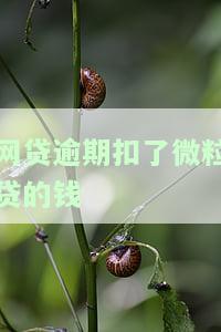 微粒贷逾期可以追回微信零钱里被扣的钱吗？