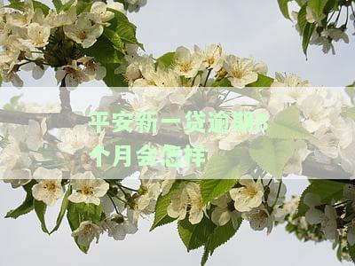 平安新一贷逾期8个月会怎样处理，对征信影响多久？