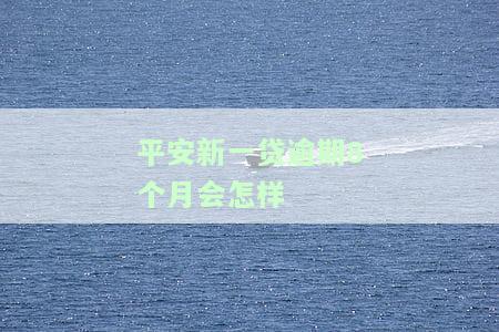 平安新一贷逾期80天，贷款逾期风险加剧