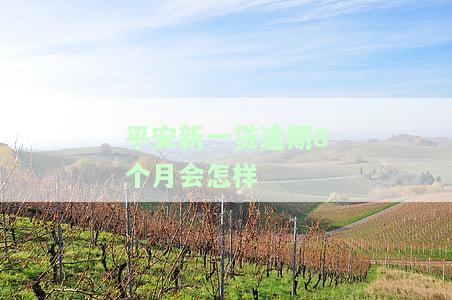 平安新一贷逾期几天对征信影响大吗？