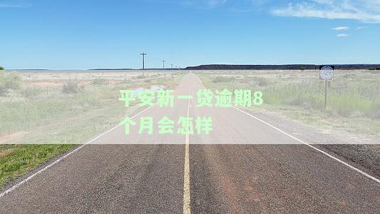 平安新一贷逾期还不上，负刑事责任怎么办？