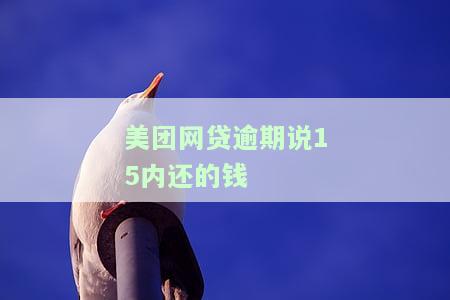 美团网贷逾期15内还钱是真的吗？安全吗？