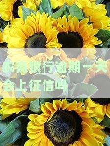 农商银行逾期一天会上征信吗怎么办