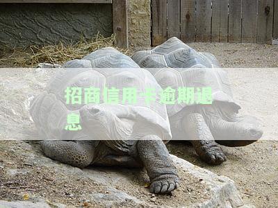 招行退息问题解决及国家信用卡逾期政策