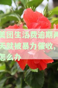 美团生活费逾期两天会给自己打电话吗？