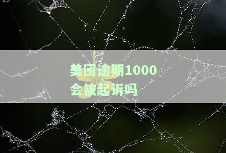 美团欠款一万七,逾期四个月,真的会被起诉吗?