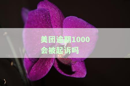 美团上欠1万元逾期3个月会被起诉吗？怎么办？