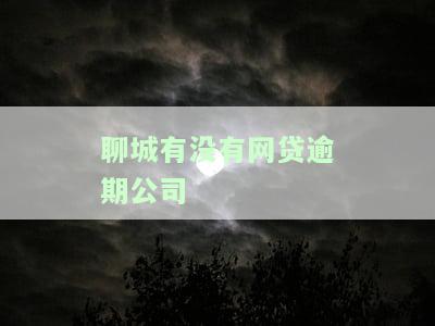 聊城哪里能贷款公司电话号码