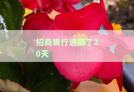 招商银行逾期了20天有影响吗及应对方法