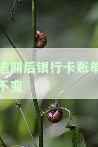 逾期后银行卡账单不变