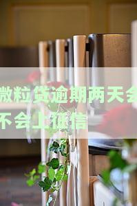 微粒贷逾期两天会影响银行个人征信吗？
