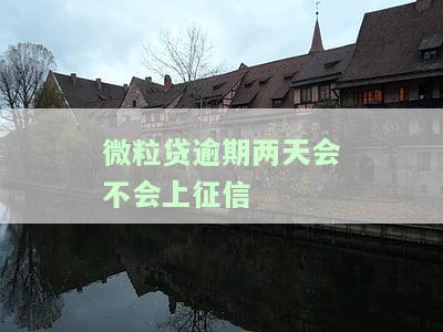 微粒贷逾期二天会影响银行个人征信吗及后果？