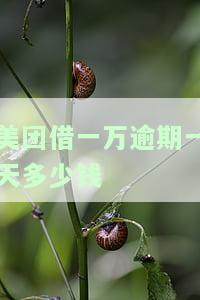 美团平台欠款一万多逾期一年了会怎样