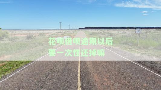 花呗借呗逾期还不上每个月慢慢还行吗，怎么办？