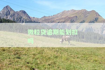 微粒贷逾期能划扣吗怎么办理，会不会直接扣走微信钱包里的钱？