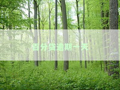 百分贷逾期一天会怎么样，利息高吗，客服