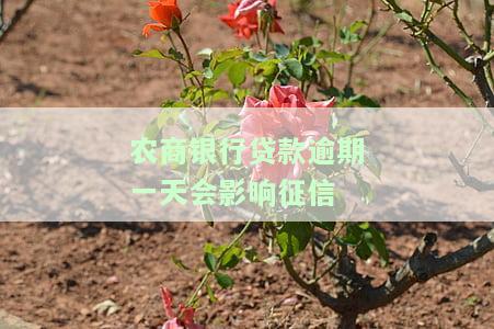 农商银行贷款逾期一天会影响征信吗及补救方法
