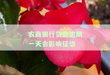 农商银行贷款逾期2天还款上报征信吗？