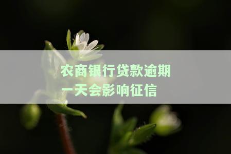 农商银行贷款逾期一天会影响征信