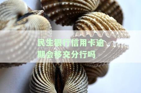 民生银行信用卡逾期会移交分行吗？