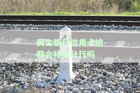 民生银行卡信用卡逾期处理及影响