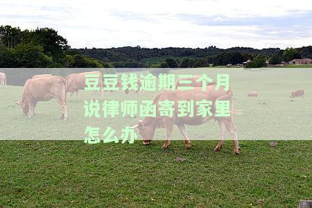 豆豆钱会发律师函到老家吗，豆豆钱要发律师函到户地是真是假