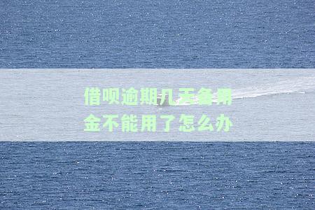 借呗逾期了几天备用金怎么还不让用了，要怎么恢复？