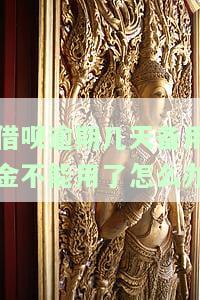 借呗逾期一两天备用金借不出来了，怎么办？