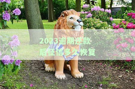 2023逾期还款后征信多久恢复呢，如何查询和处理逾期还款，2020逾期上征信多久能消除？